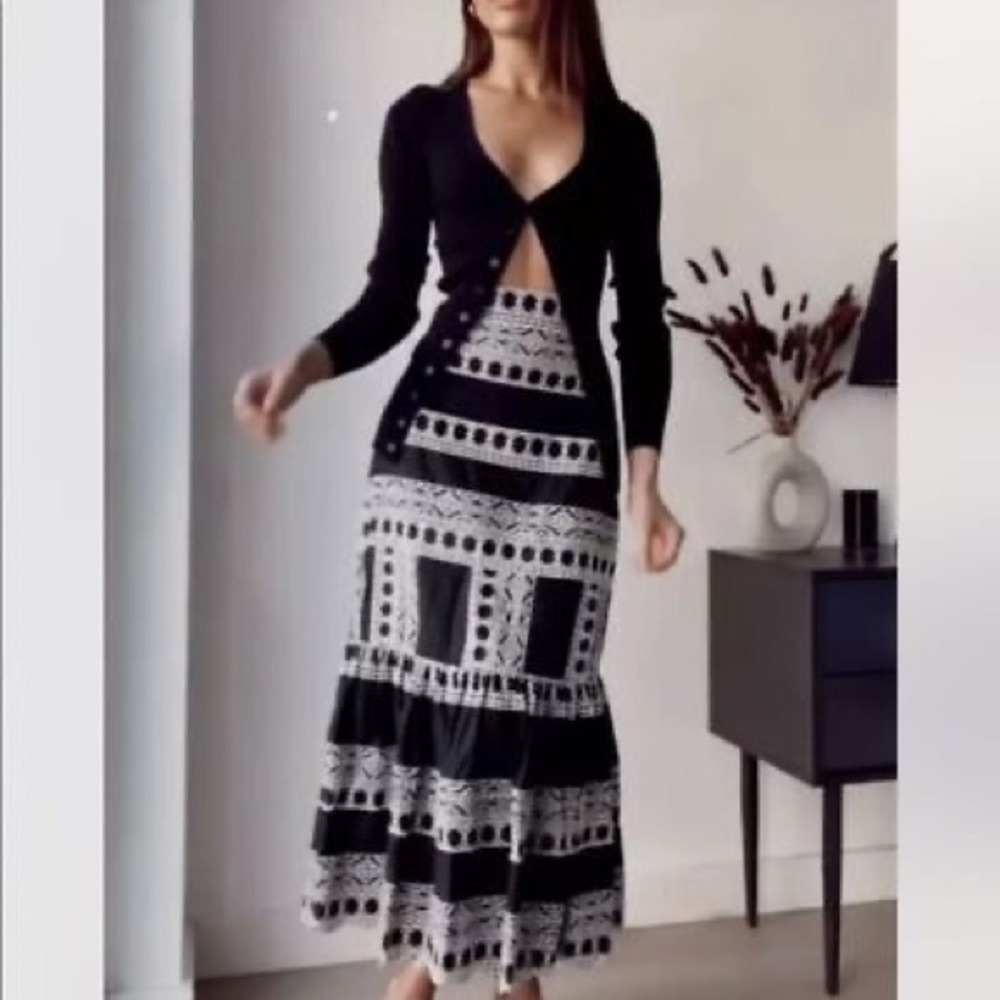 Zara Embroidered Midi (sold out online)